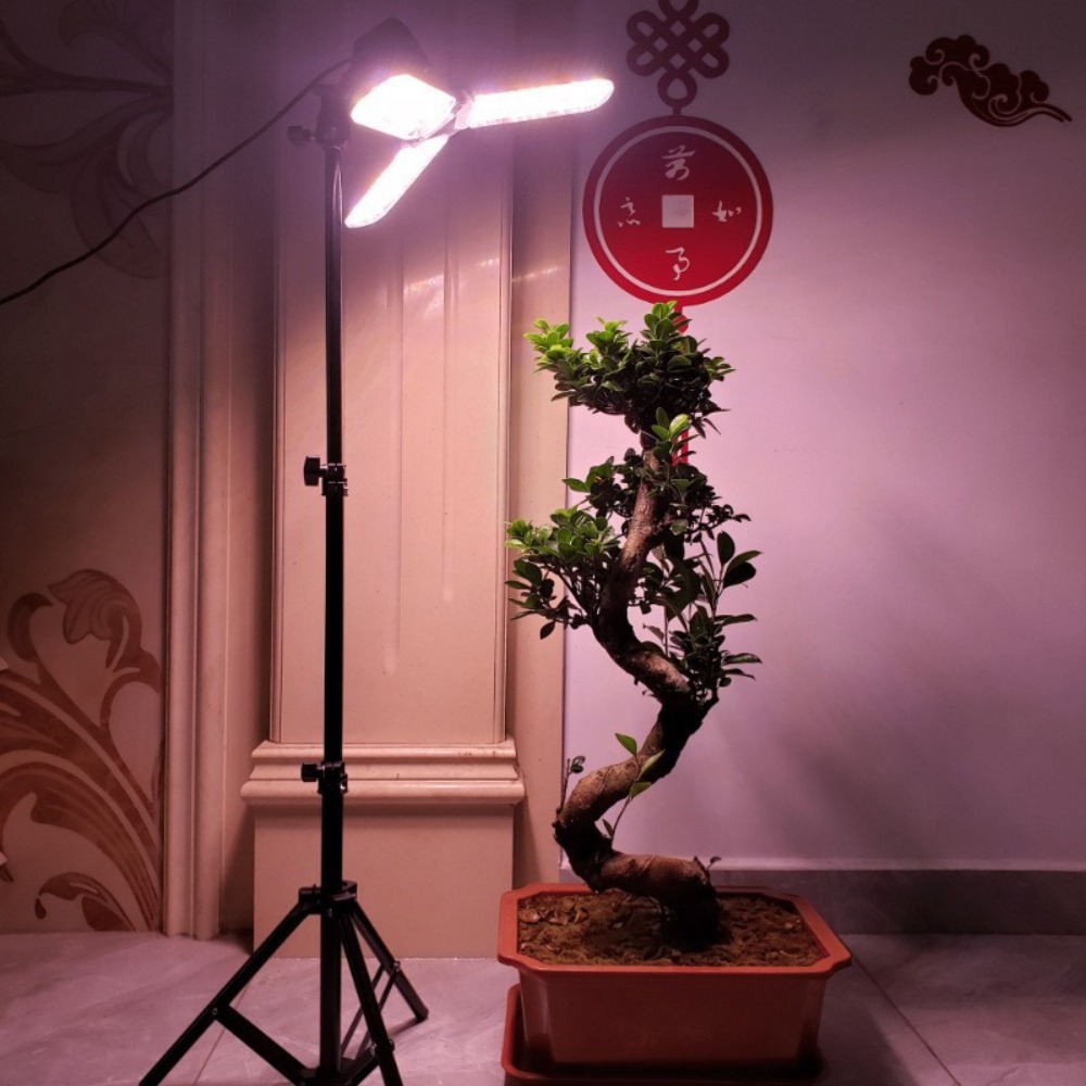 Gloeilampstandaard 2M, E27 AC- - Photography Lighting For Studio recensie en prijs