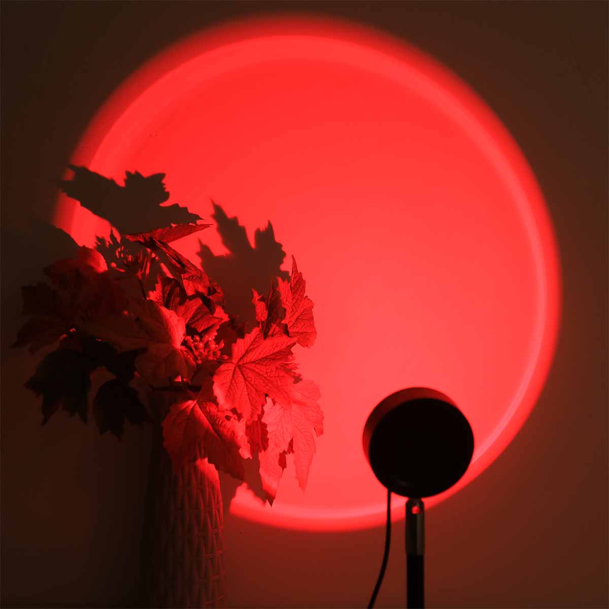 Zonsondergangprojectielamp met - Photography Lighting Setup recensie en prijs