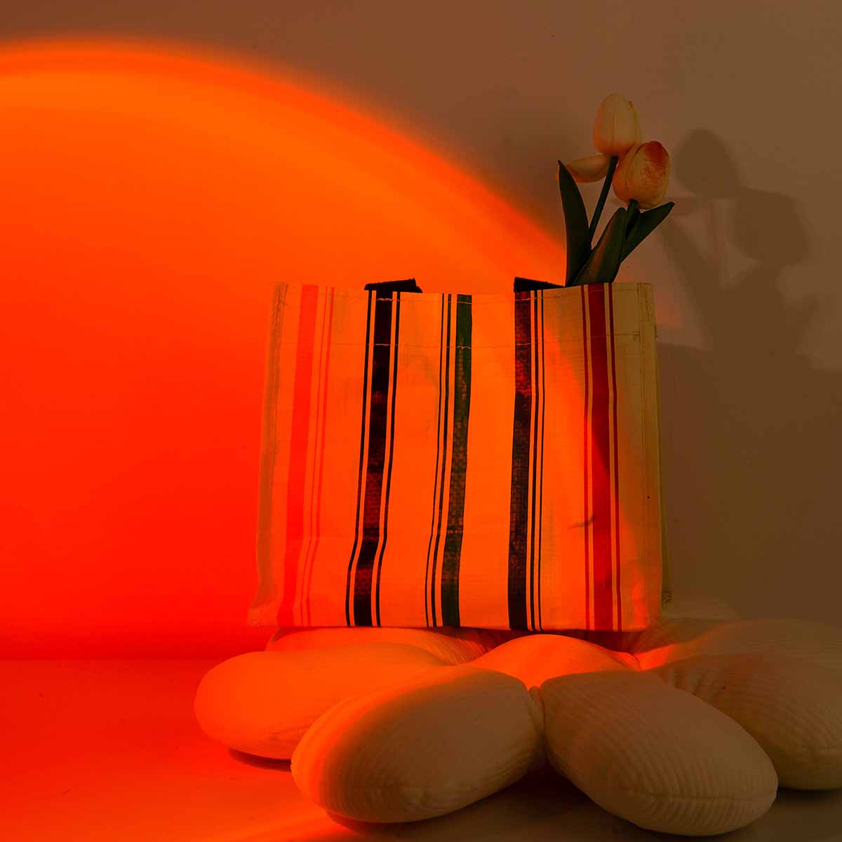 Zonsondergangprojectielamp met - Photography Lighting Setup recensie en prijs